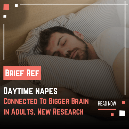 Daytime naps benefits